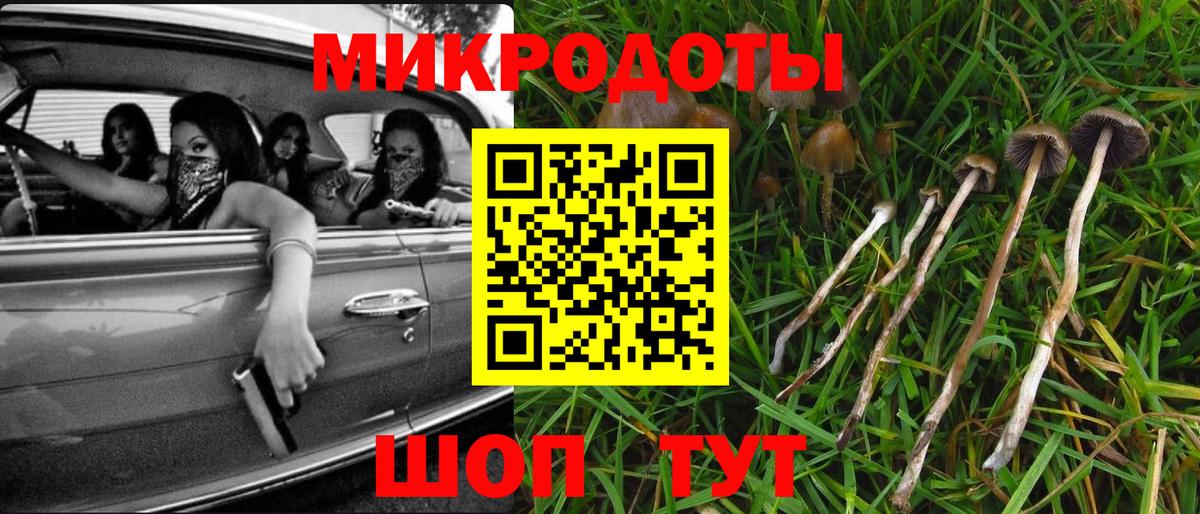 Галлюциногенные грибы Magic Shrooms  Вход с VPN  Чебоксары 